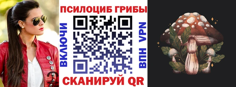 Псилоцибиновые грибы мицелий  Спасск-Дальний 